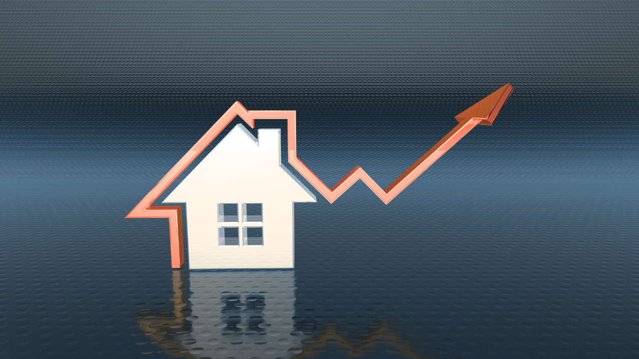 Real Estate Portfolio in Delhi