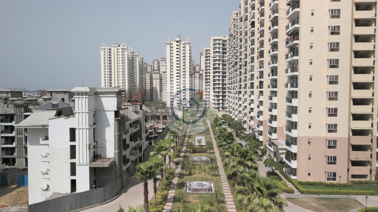 Nirala Aspire Gold