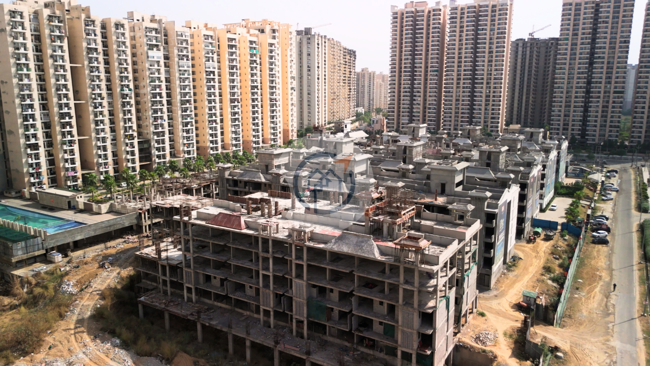 Nirala Aspire Gold